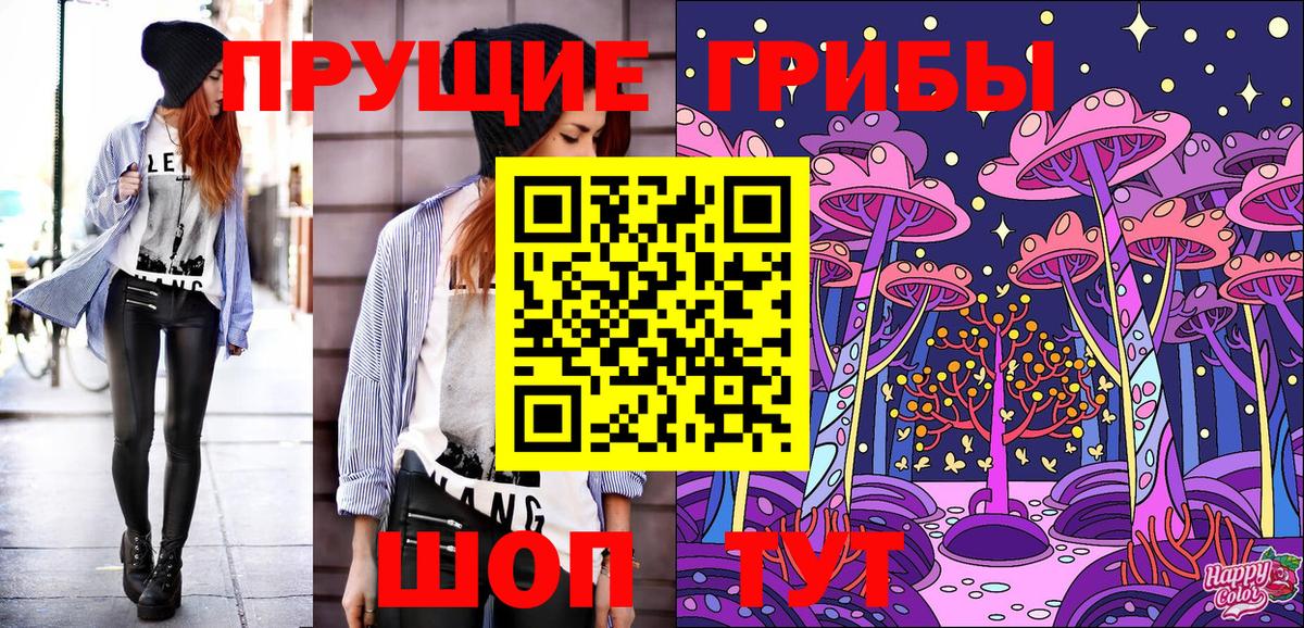 Галлюциногенные грибы GOLDEN TEACHER  Вход с VPN  Губкинский 